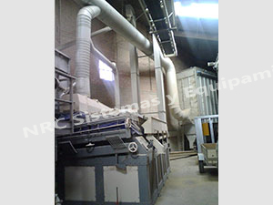 IMG00800