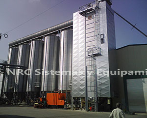IMG00810